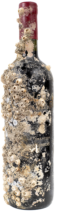 Wapisa Underwater Cabernet Sauvignon 